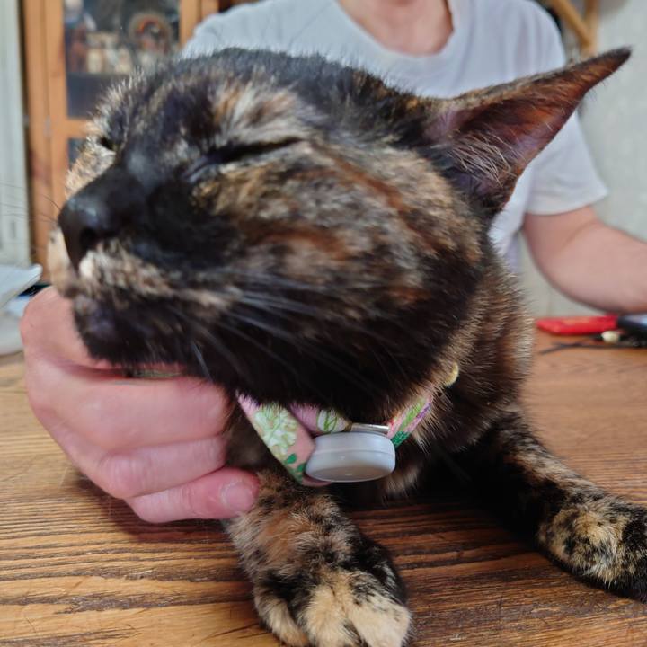 3146f24b 2126 482d b127 4a4473d59d08 1622247780563