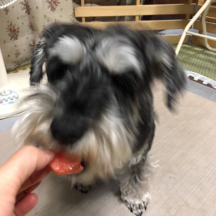 31471e5d 960f 4a77 bffe 08aba7345cec 1654438902163