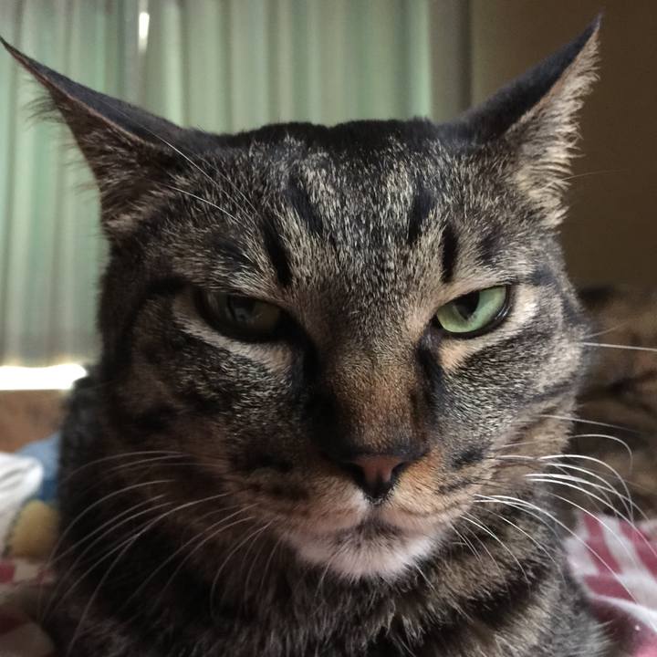 314742f7 8d30 4c83 bc22 adbc73de6cb7 1531432534629