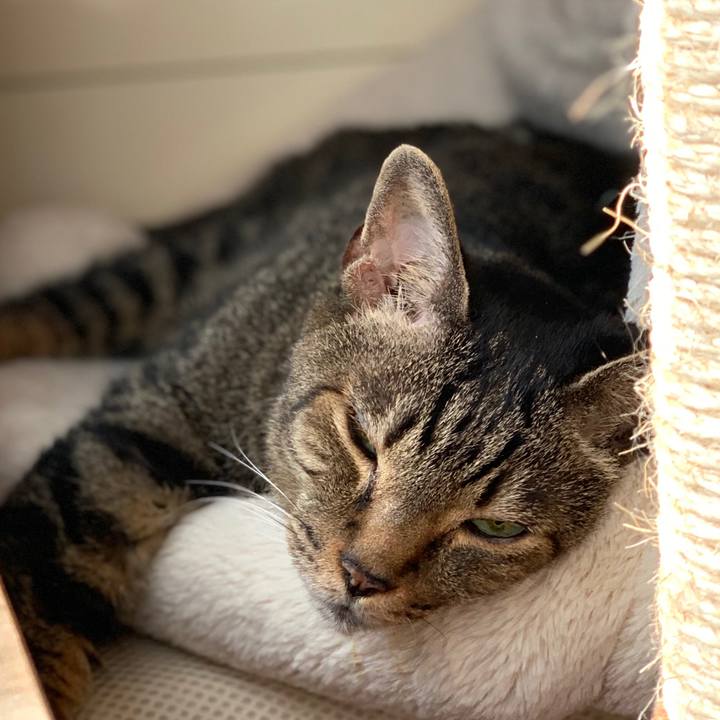 31475f35 0483 4ebe b15f 70d9cb6ad341 1597541325389