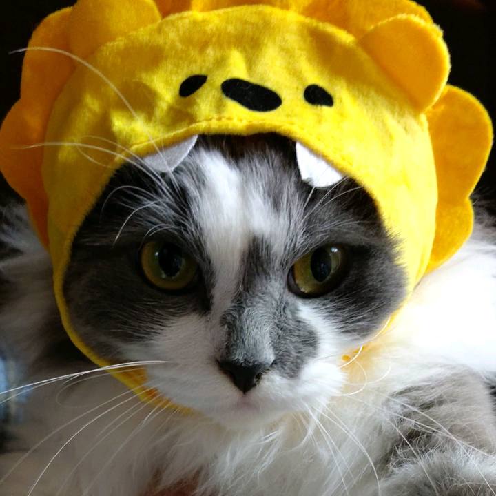 31479837 15b2 428c a639 a4d5d85d8812 1616748370128