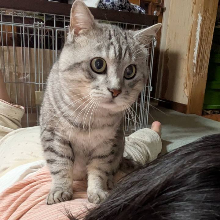 3147b2fe 69b6 4313 82e1 1584808b0c9a 1748661967099