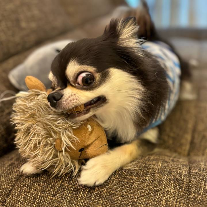 31482efb 2a30 45e8 94c8 ba778f5b3901 1720283181232