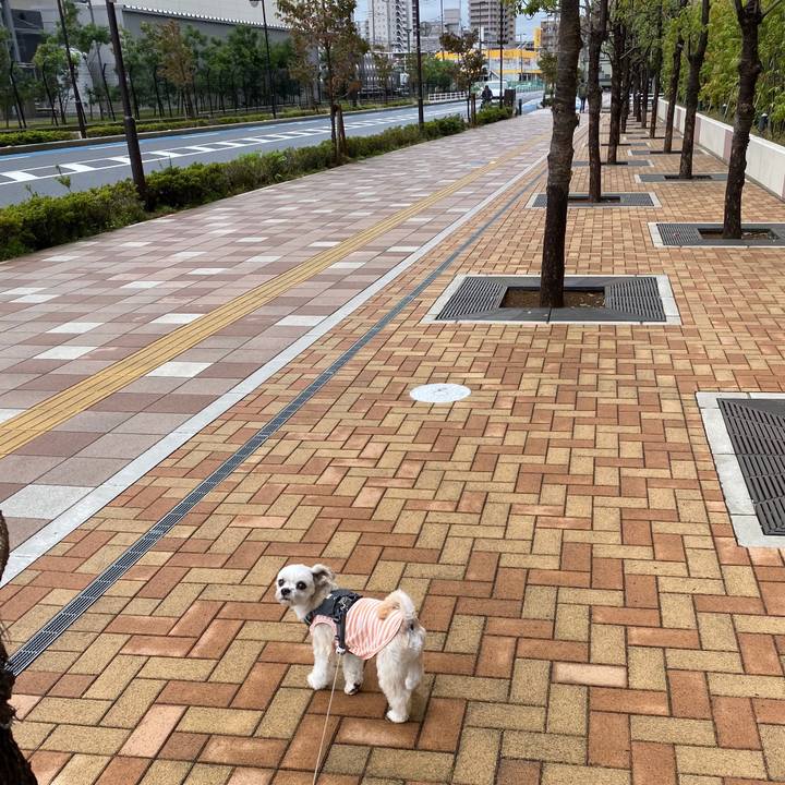 31485b7d 167e 427b 920b 41c5801c42fd 1571455119228