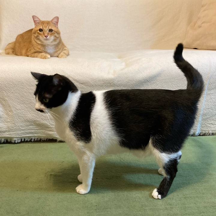 31486535 a55d 4184 9fb9 8df6441492b1 1763721156085