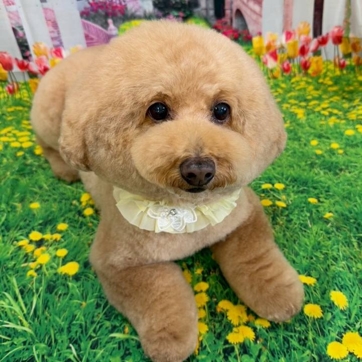 31486dec 27b2 4b02 900b 793af99a430e 1763271793791