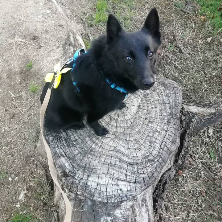 31487f3c 6e1a 4356 bc13 6919a53b6819 1637099431144