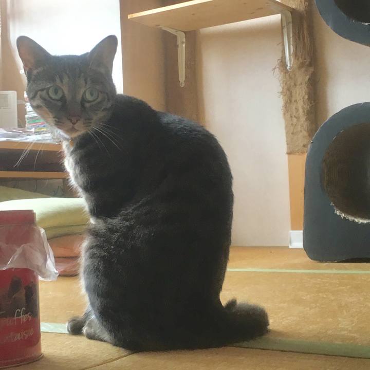 3148d5e8 65a1 4c7b a8b5 ee62d37e814f 1569151040755