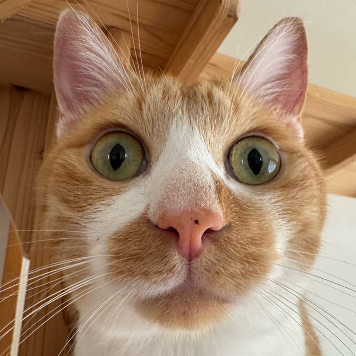 3148dd42 e90c 4f15 a5ce 068a9fd6b9c5 1756601987948