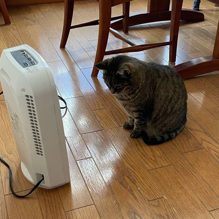 3148ec48 440a 4bfa 9167 794934b18427 1640857946670