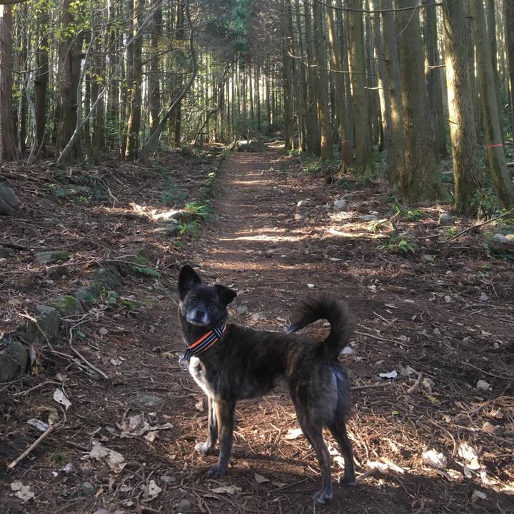 3148fd18 8e2d 40b0 b65b 4ae02c6b0f5c 1547514337610