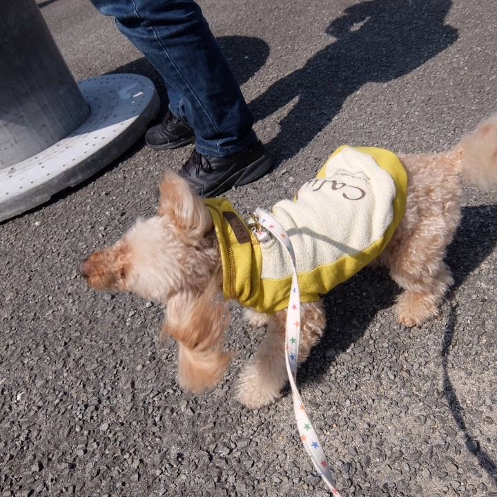 31490084 7c60 4c80 8d49 e4e0175aeeba 1520860504309