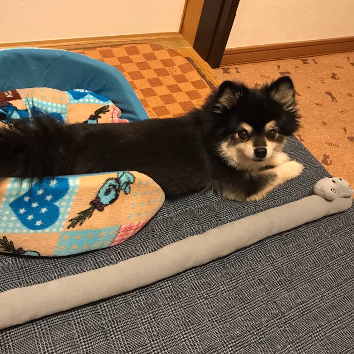 31490514 0d4d 4c43 b2c7 ba1b836594a8 1548469155149