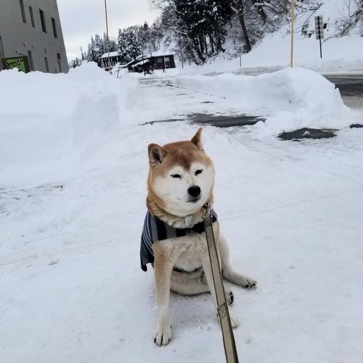 31498691 6720 47be be57 21428857356b 1674968672833