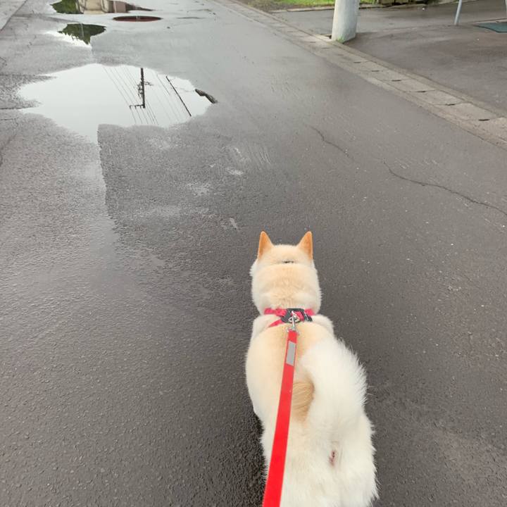 314a26c2 923f 419d 8975 87a958ff459e 1564175753498