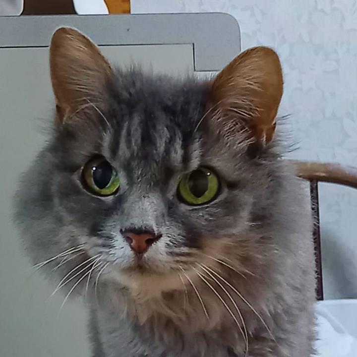 314a3442 5659 4277 af0c aae084562ef9 1656729220138