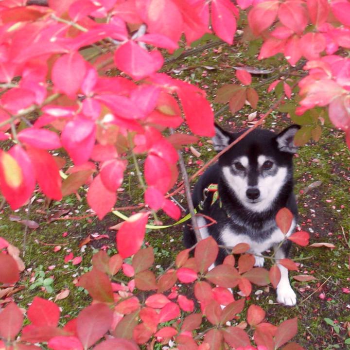 314acbbc 331b 445f a0f8 f894753abb40 1604712966176