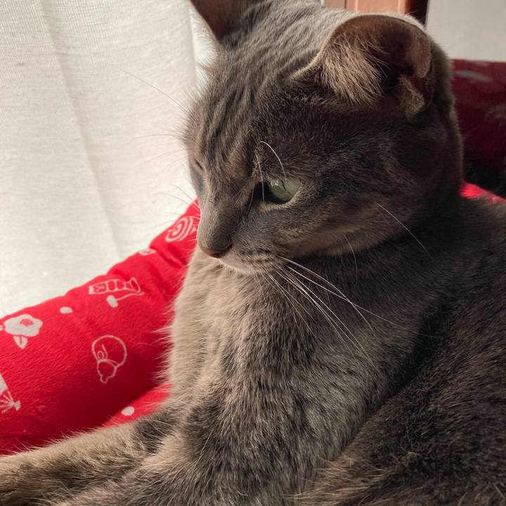 314ad033 79dc 436a 9c43 da57db5eea16 1609467765475