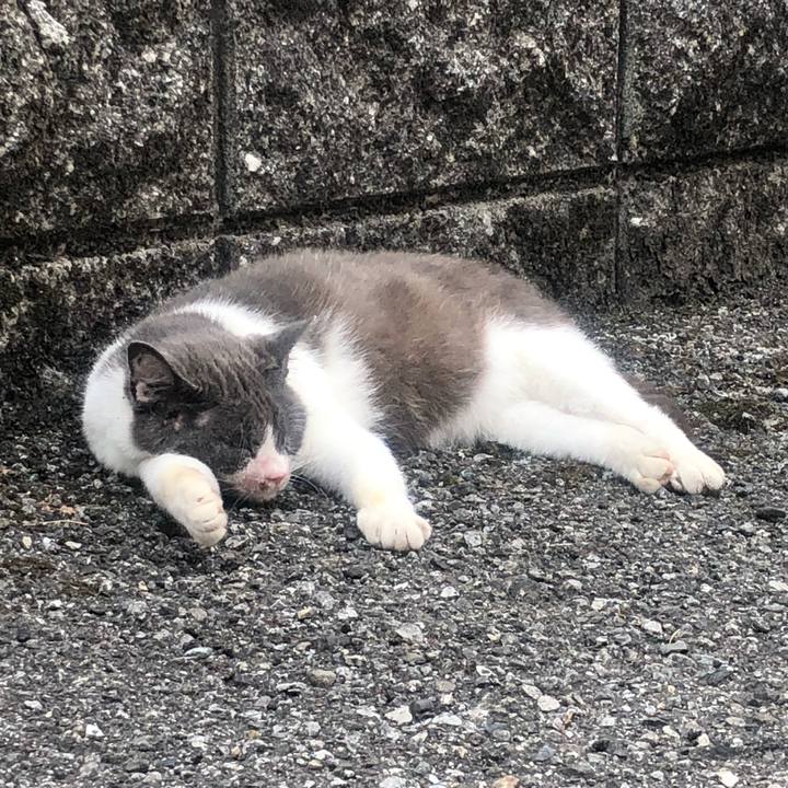 314af19b 3689 4ee2 be43 51e0d9b92ed0 1626241834108