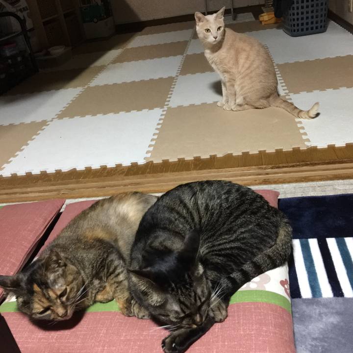 314b1bf3 fcad 4873 abe5 5dc1ea6b8901 1666352924572