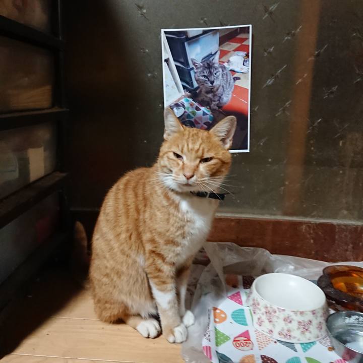 314b2972 7ba9 43f8 b86b 53aaf390b955 1602618971290