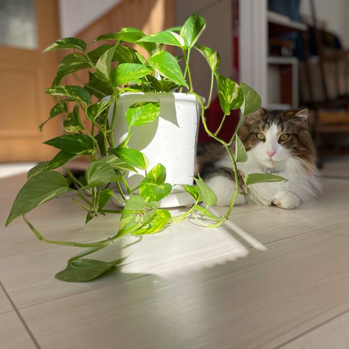 314b8582 8ff4 42b5 ade6 282d9c0e74b1 1642905851536