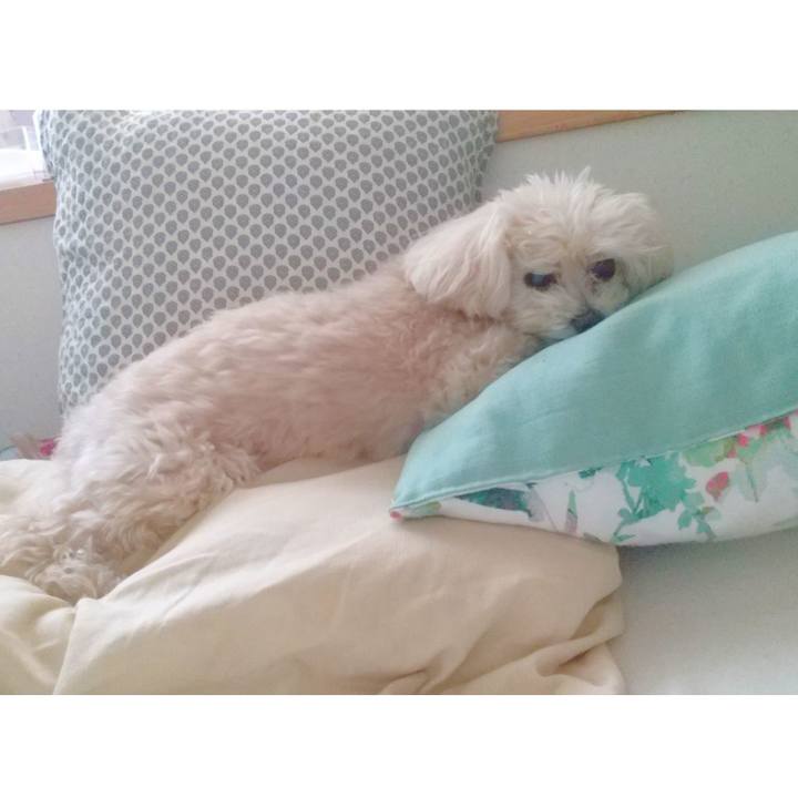 314b927e d10a 4371 b8f5 502631f2dcf3 1682129182259