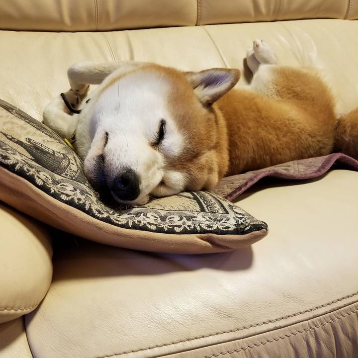 314b9520 9e9b 4d25 9e4e a55f052f4a6d 1637579845450