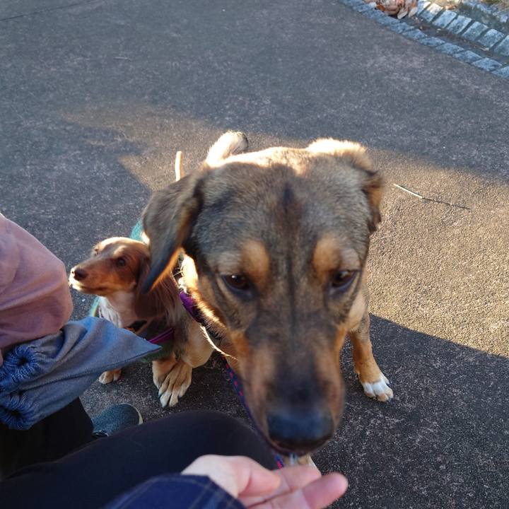 314bb38e 2851 4540 a888 ea587aaea24b 1703202660853