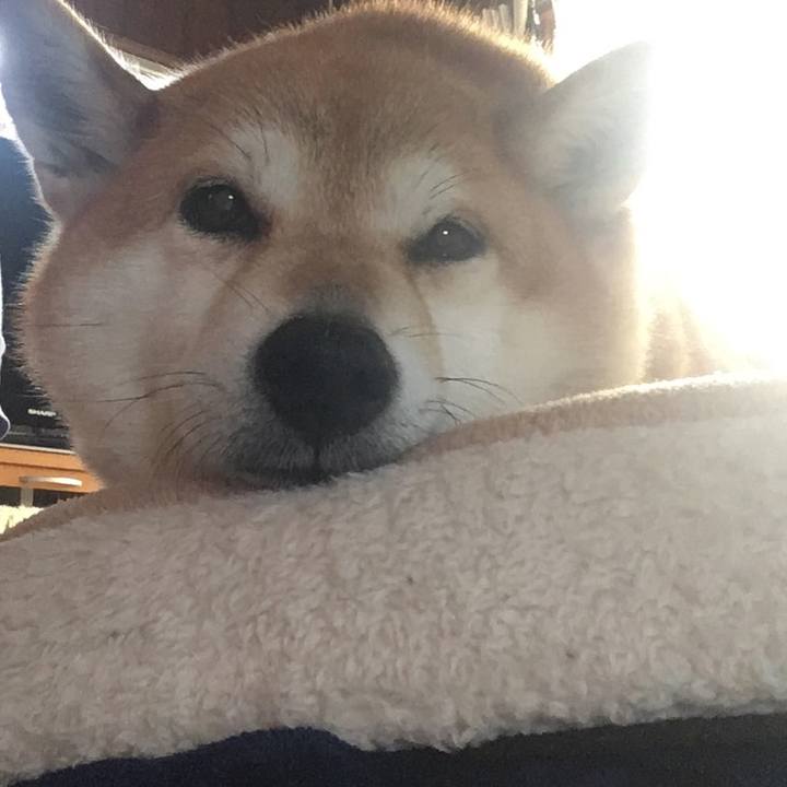 314bc4da fea4 4e19 be8f 7f42237985fb 1602128407457