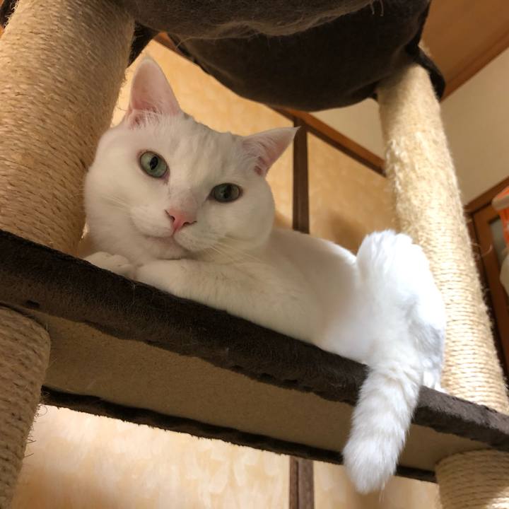 314be74c 5d2e 4ec6 b48a 4052c0ae37a7 1592804992508