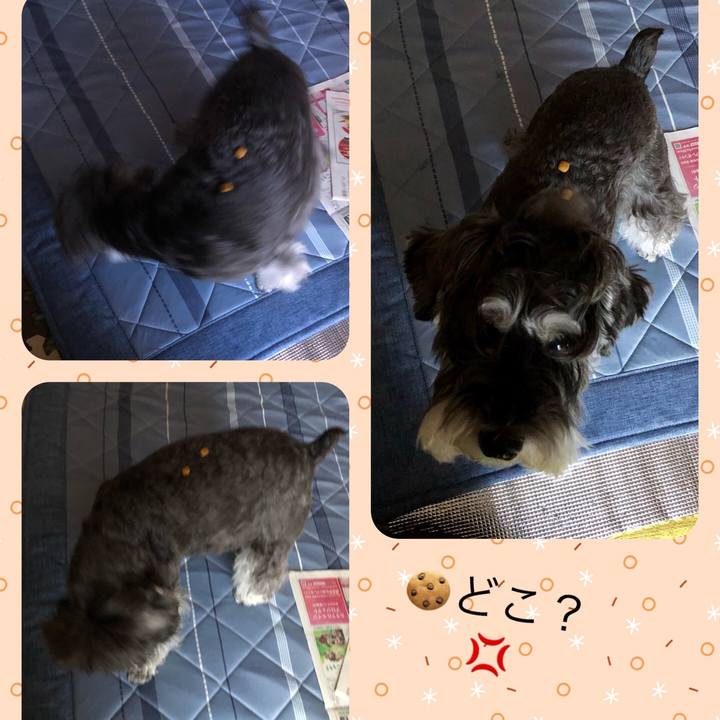 314c1e03 a862 4bd0 ab12 3a07a57ba50c 1664072768746