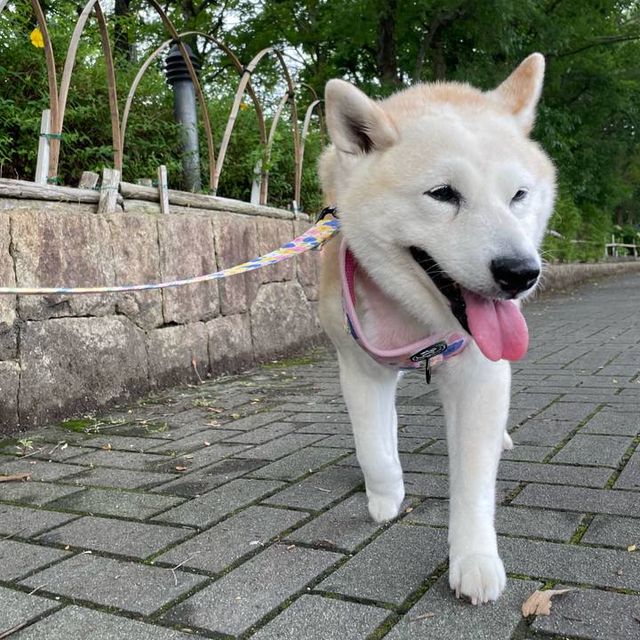 314c343d afb9 4229 8863 ab8b8f3178a2 1655949677232