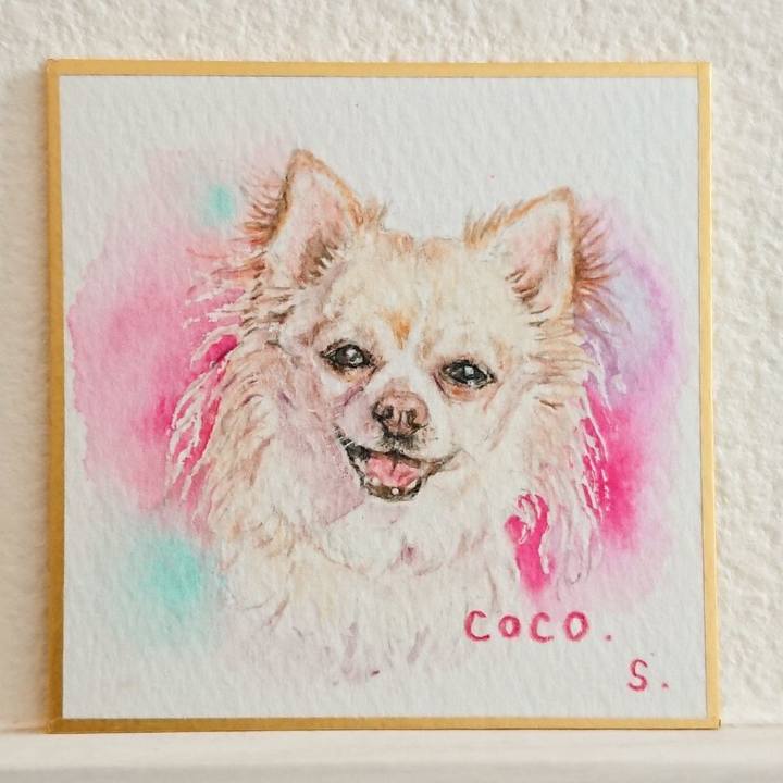 314c3b17 05e4 4b0d ae0c 6d34e97da754 1589784953140