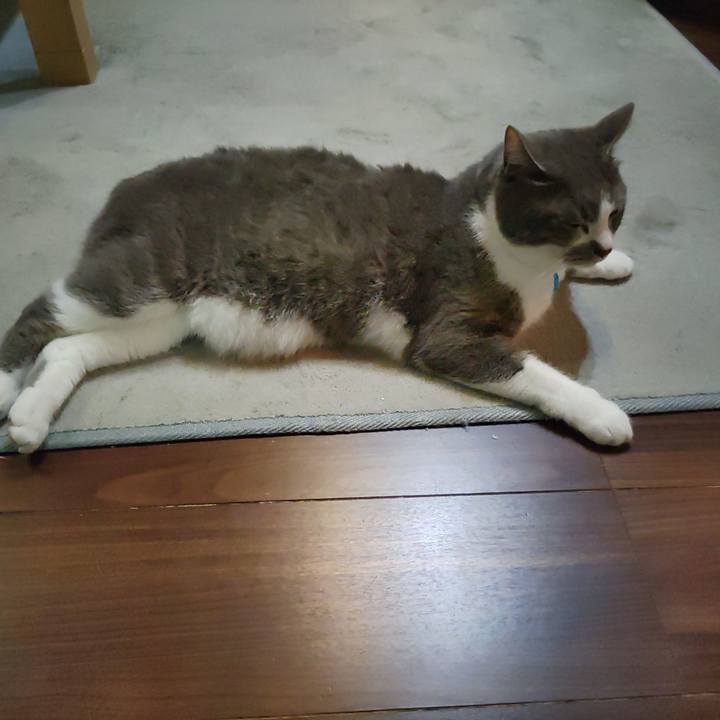 314c41b7 343e 4b4e 87c6 f88c16e74bbb 1713184668715