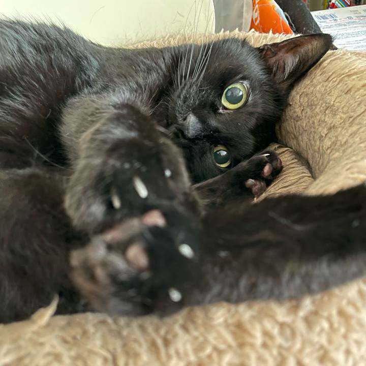 314c4ad3 9972 4bb9 a4e7 8562ea4173e8 1714181483135