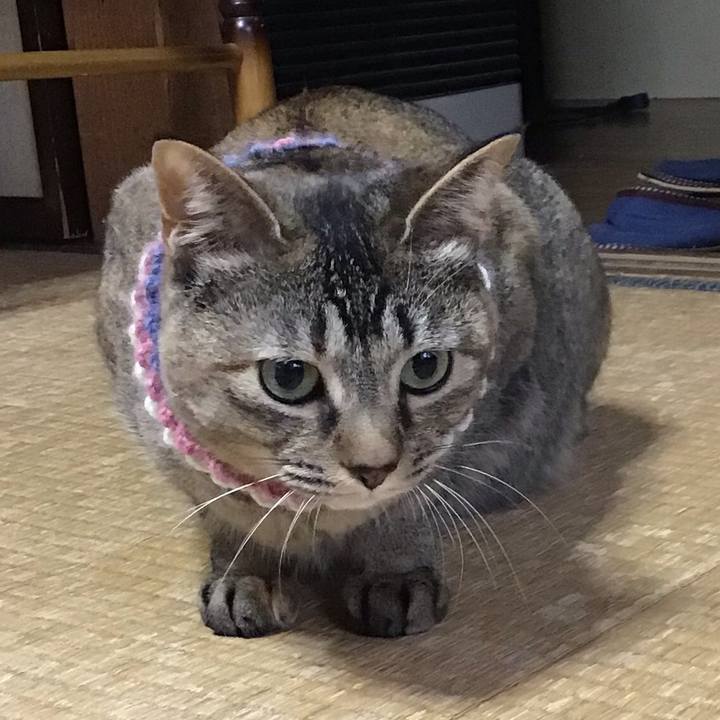 314c8ae7 00a4 4dc9 99f8 761081ef6cef 1618614904271