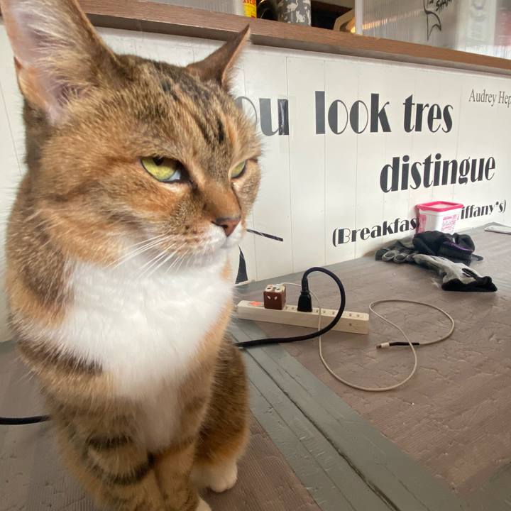 314c9580 2803 4051 83c5 43ac5f74ebc5 1674351060724