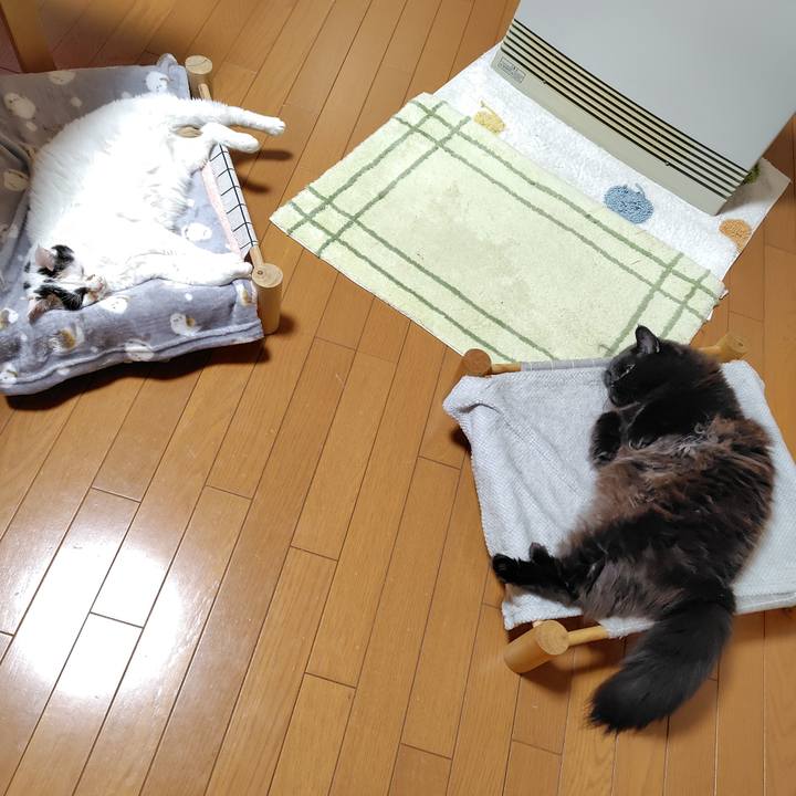 314cb616 6a78 4a0e 8339 dccdd658f23d 1770984172520