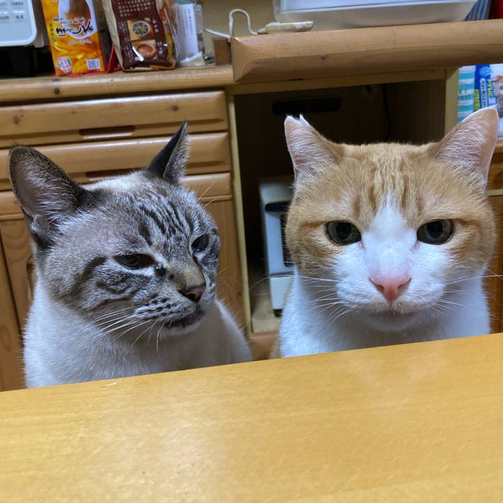 314cc0b0 87d0 4505 bc55 e57466444b6a 1767268622092