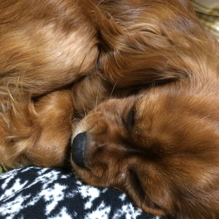 314cf10c 007d 4937 9be6 3a04fb96a092 1519387764614