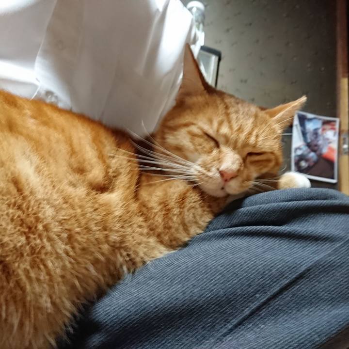 314d00f8 fbcb 4106 9b8b f1acaa4702bb 1601542619867