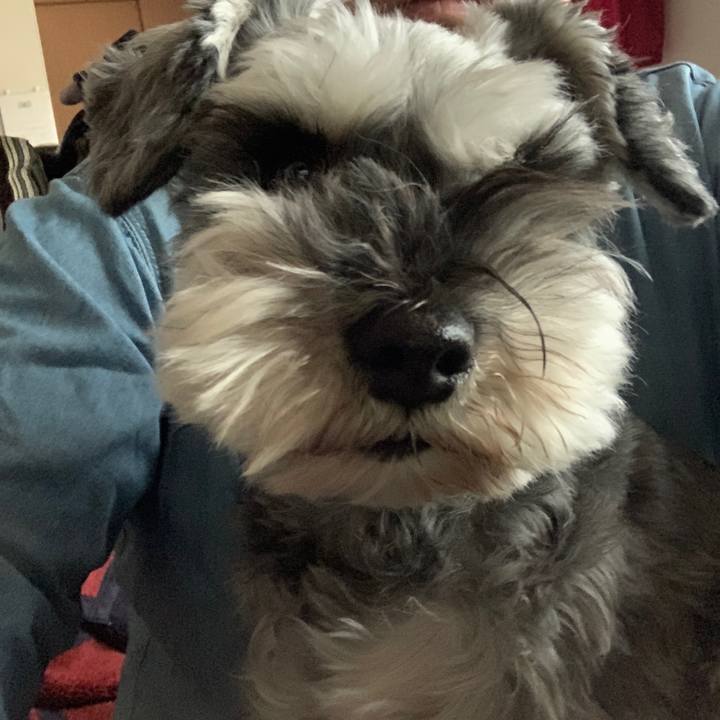 314d08eb e4fb 40ac 80ce 9e7400d4a5bf 1650093962706