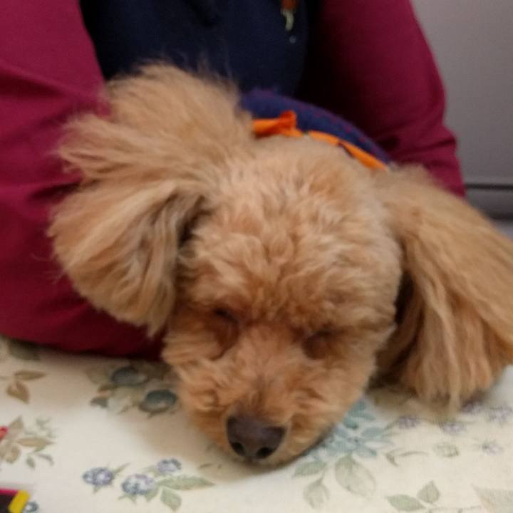 314d2e27 f2c9 4667 8359 227e27fe7a92 1519114083491