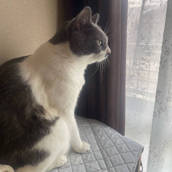 314d3825 2663 4a0e 96e5 089ce1904a13 1754429246012