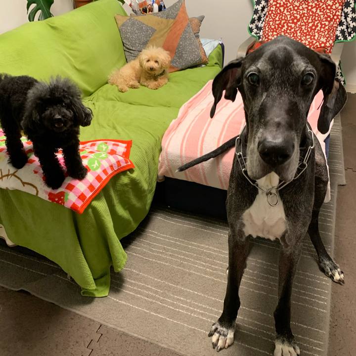 314d4b39 5f7b 4d05 b16c 4eef81f39bad 1600036191886