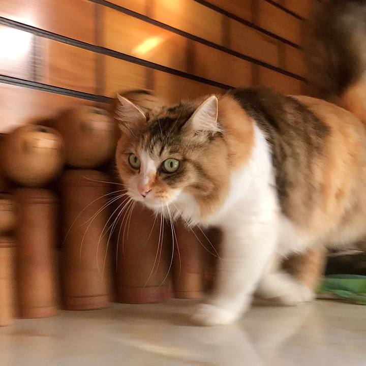 314d57ed f8ae 448c 8d74 398a72348af6 1589169152417