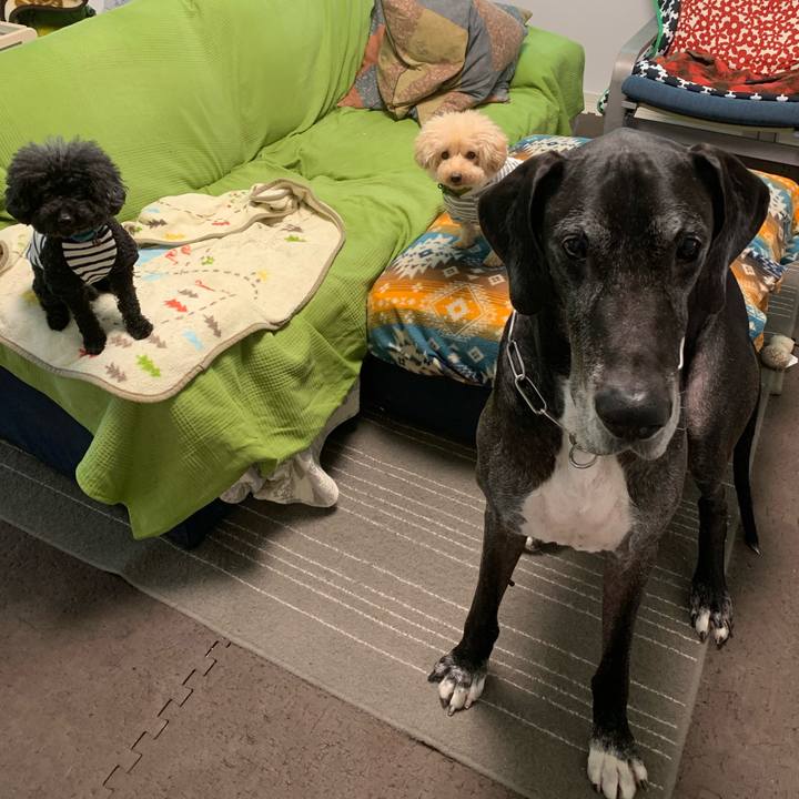 314d62f1 b120 44ab 8441 5e04ac8f0a84 1571783231694