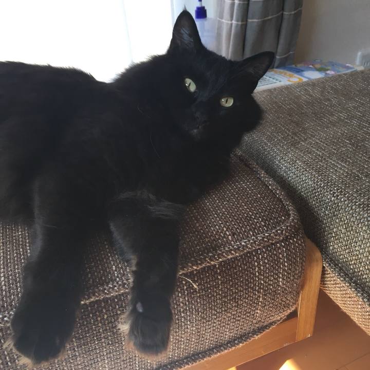 314d650b 2cd4 4e66 9b14 c910d3f6a7ce 1527560344175