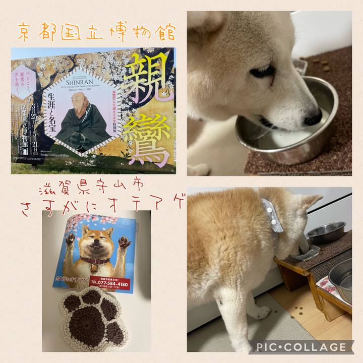 314d6ae1 4c41 42d7 86a5 1dfb64abde9f 1684323086293